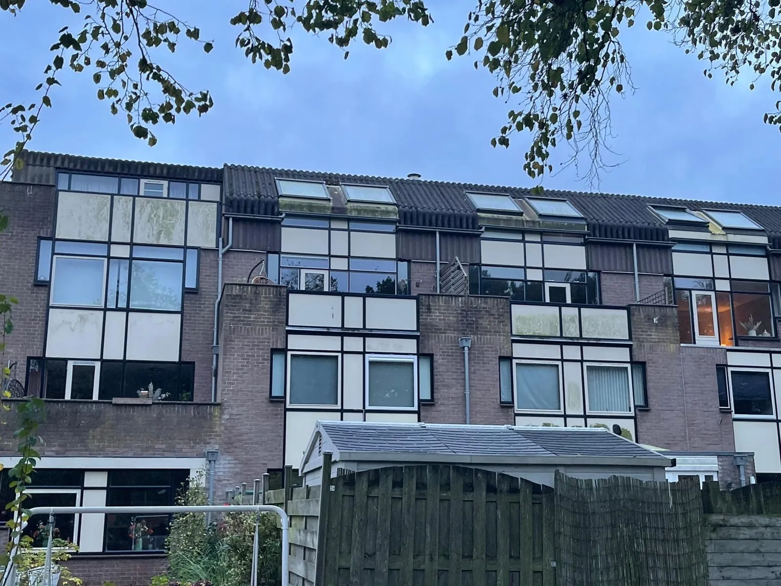 Vervuilde gevel met algen — voor reiniging